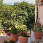 Pensiune Tokaj Hill Panorama