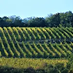 Pensiune Tokaj Hill Panorama 3*