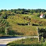 Tokaj Hill Panorama Pensiune Szerencs
