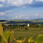 Pensiune Tokaj Hill Panorama Szerencs