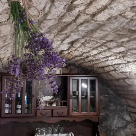 Tokaj Hill Panorama Guest house *