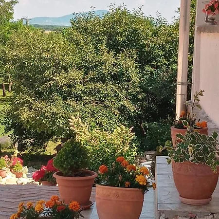 Guest house Tokaj Hill Panorama