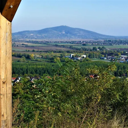 Tokaj Hill Panorama Guest house *