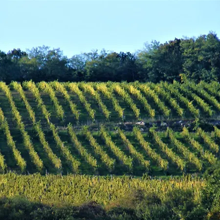 Affittacamere Tokaj Hill Panorama 3*