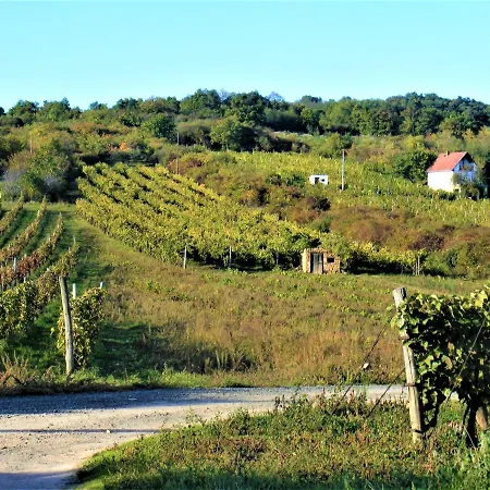 Tokaj Hill Panorama Guest house Szerencs
