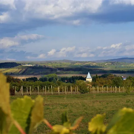 Affittacamere Tokaj Hill Panorama Szerencs
