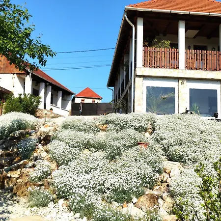Tokaj Hill Panorama בית הארחה 3*