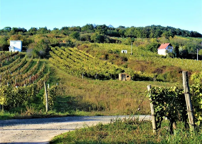 Tokaj Hill Panorama בית הארחה סרנץ'