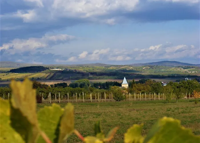 Konukevi Tokaj Hill Panorama Szerencs
